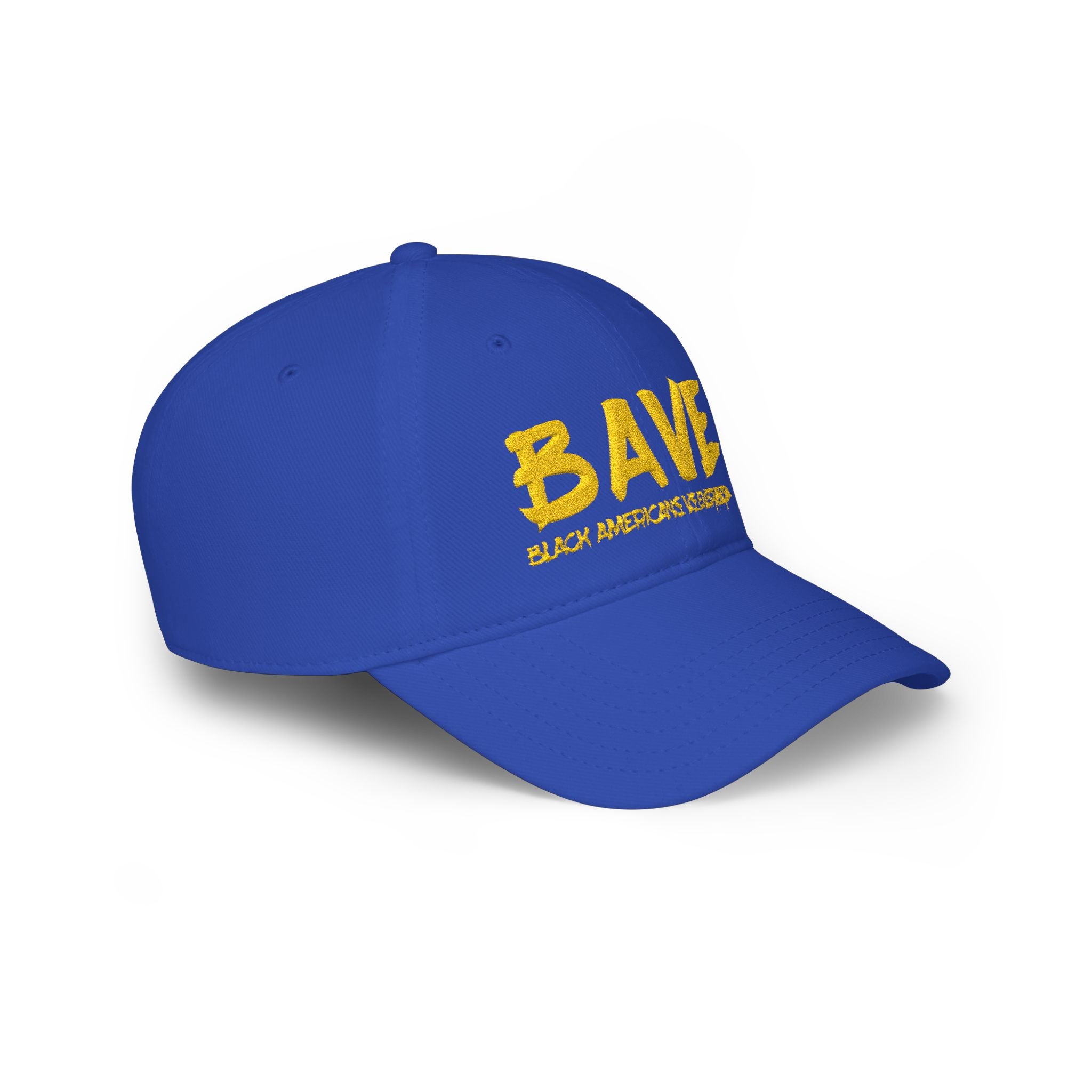 BAVE Black Americans vs Everybody Embroidered Low-Profile Baseball Cap