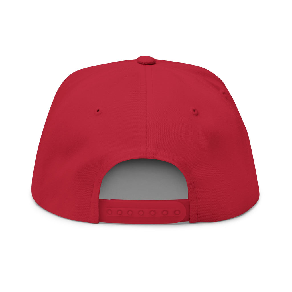 Embroidered Gold Eye of Ra Flat Bill Cap — 'Black Americans Versus Everyscent'