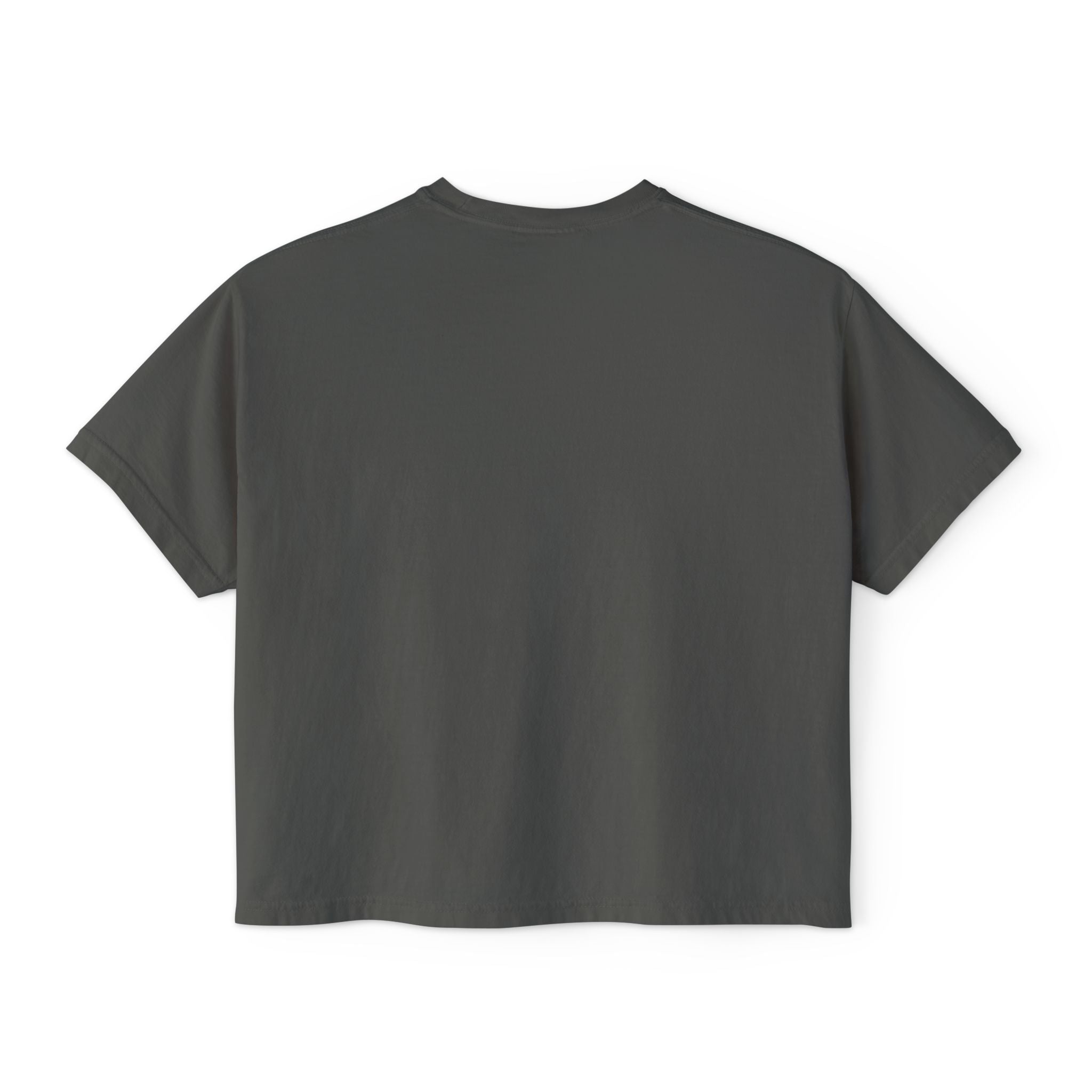 Black Americans vs Everybody T-Shirt | Social Justice Statement Tee