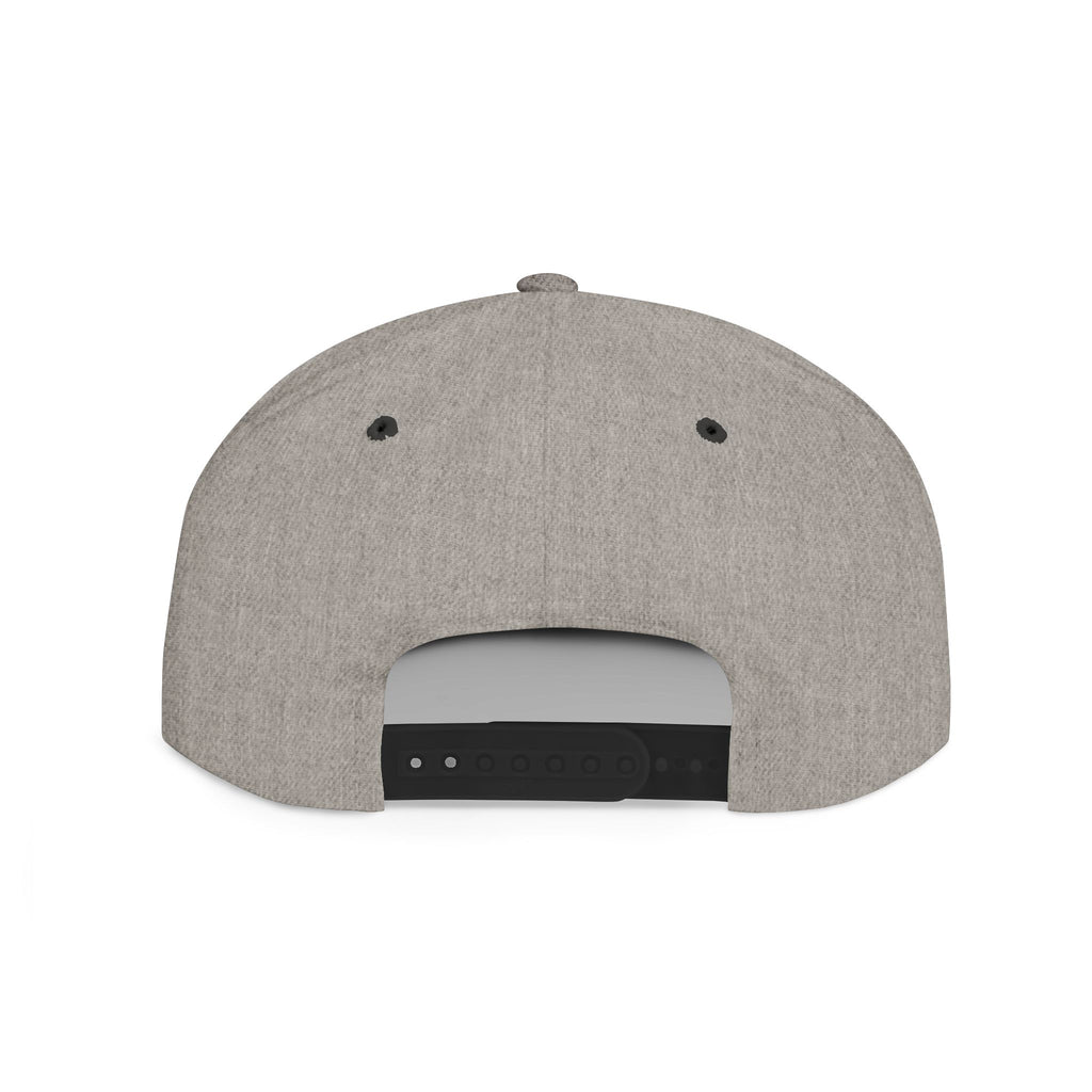 Snapback Hat — "Black Americans BAVE vs Everybody" Flat Bill Cap