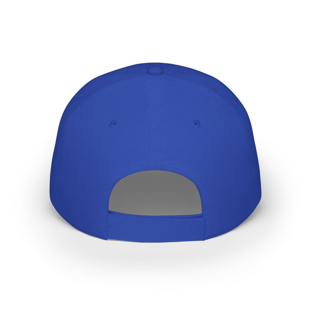 BAVE Black Americans vs Everybody Embroidered Low-Profile Baseball Cap