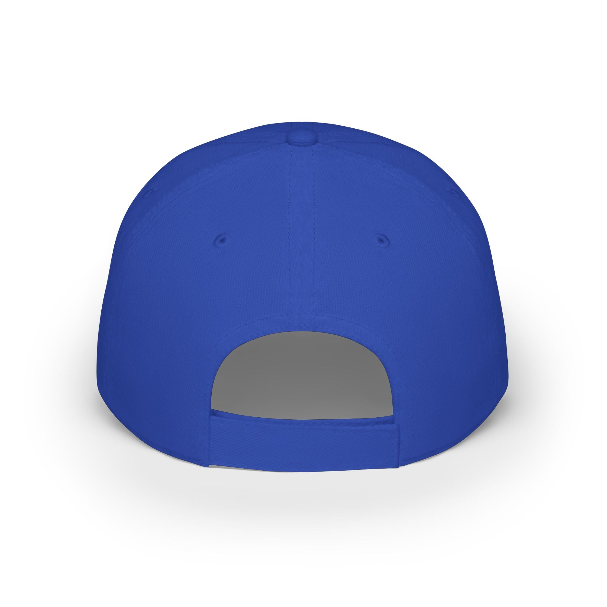BAVE Black Americans vs Everybody Embroidered Low-Profile Baseball Cap