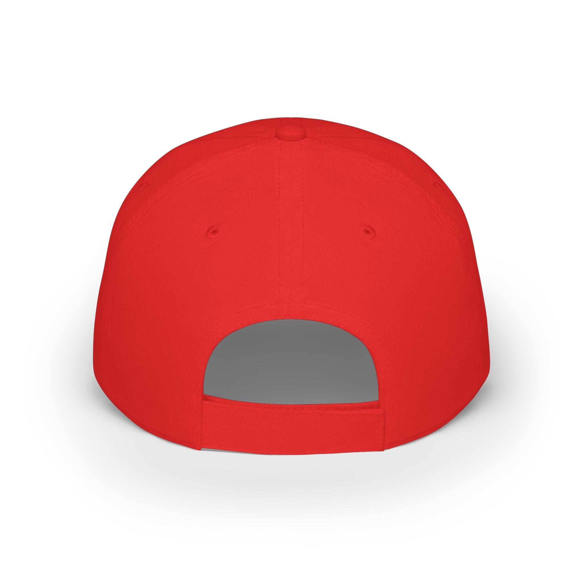Black Americans vs Everybody Baseball Cap | Statement Embroidered Hat
