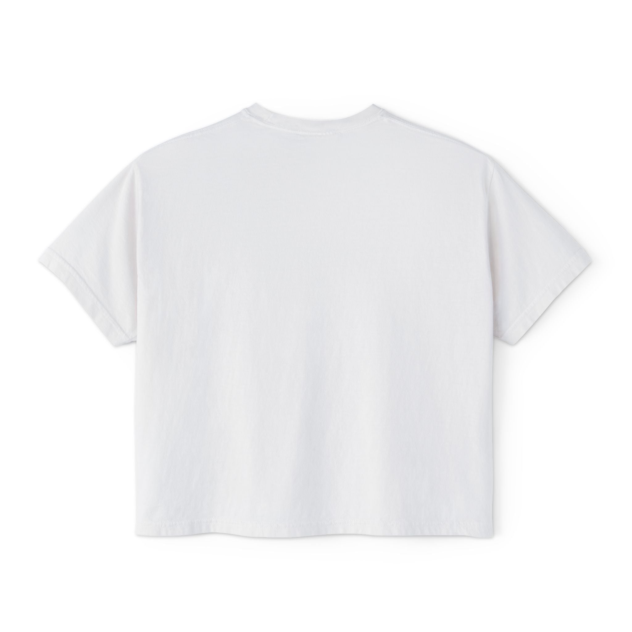 Black Americans vs Everybody T-Shirt | Social Justice Statement Tee