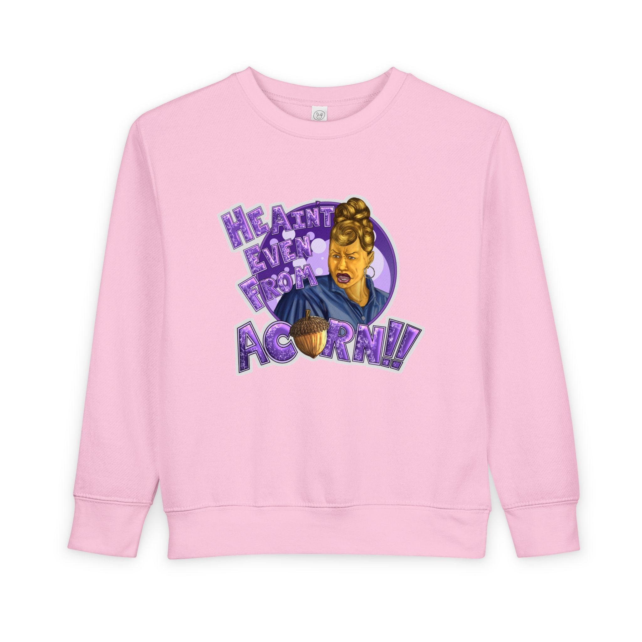 Ain't Nobody Messin' With My Acorn Toddler Sweatshirt | Funny Character Design