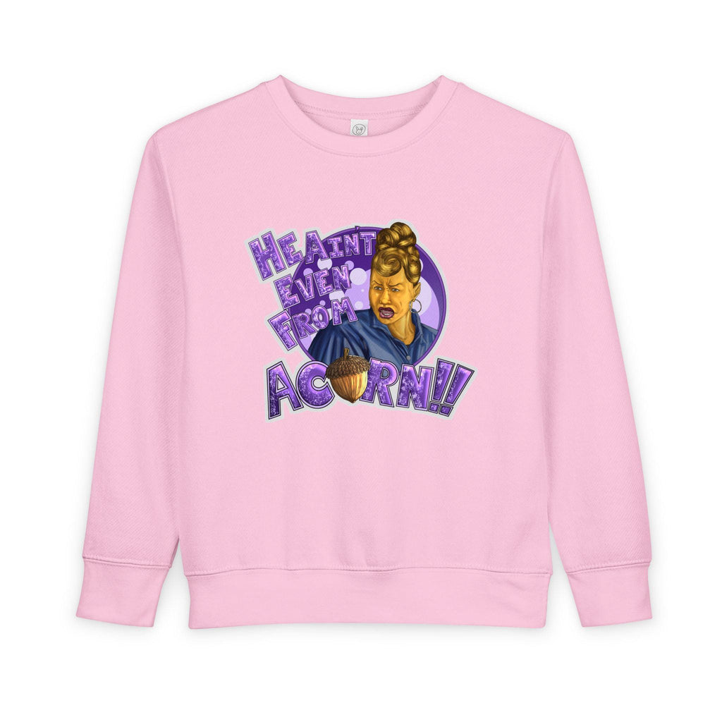 Ain't Nobody Messin' With My Acorn Toddler Sweatshirt | Funny Character Design