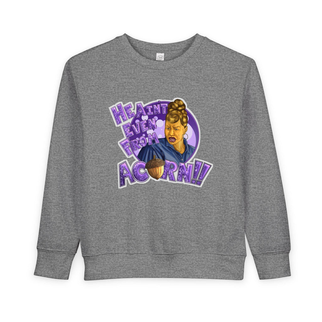 Ain't Nobody Messin' With My Acorn Toddler Sweatshirt | Funny Character Design